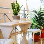 Apartament Aura
