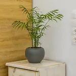 Aura Apartament