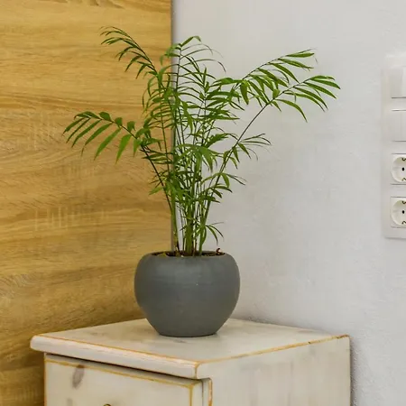 Aura Apartment